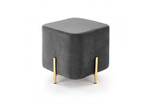 ��� ����������